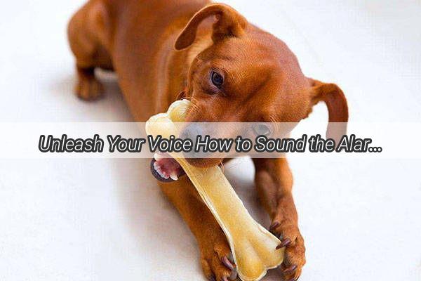 Unleash Your Voice How to Sound the Alarm on Dog Trafficking with Just a Call